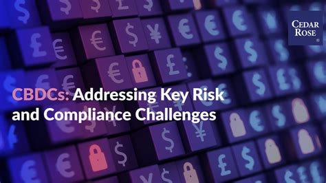 Challenges and Risks Associated with CBDCs