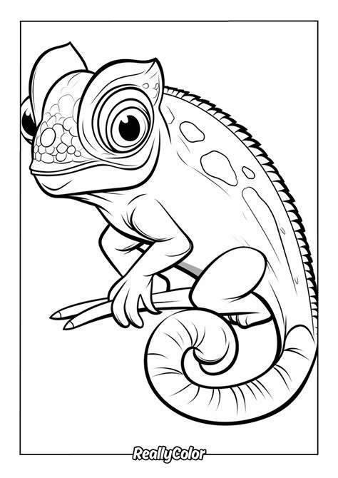 Chameleon Coloring Shee