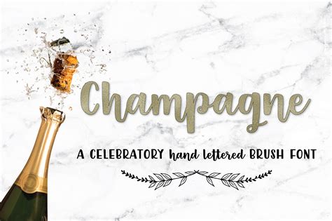 Champagne Script Handlettered Font Script Fonts Creative Market