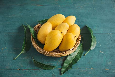 Champagne mangos. 5 days ago · The honey mango, AKA Ataulfo or Champagne mango, is a popular variety originating from Mexico. It stands out with its small size, smooth skin, and vibrant yellow color. Its exceptional sweetness and creamy texture make it perfect for snacking or adding to desserts. 