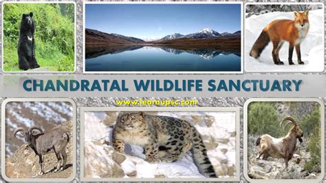 Chandratal Wildlife Sanctuary - NATURE