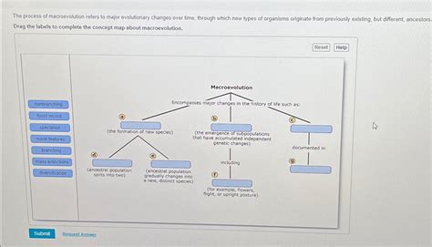 Changes Over Time Pearson Answer Key