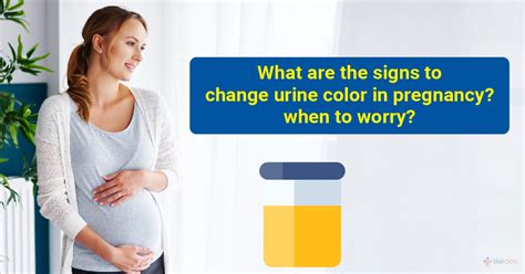 Changes in Urine Color During Pregnancy What to Look for and When to Worry