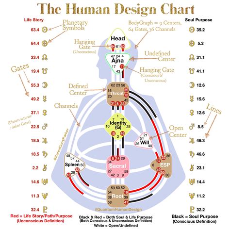 Channel 2838 and Human Design Human design, Human design system, Tool design