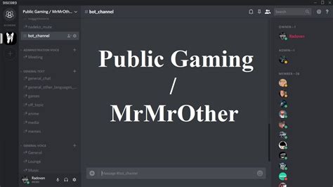 Channel introduction and Discord server MrMrOther YouTube