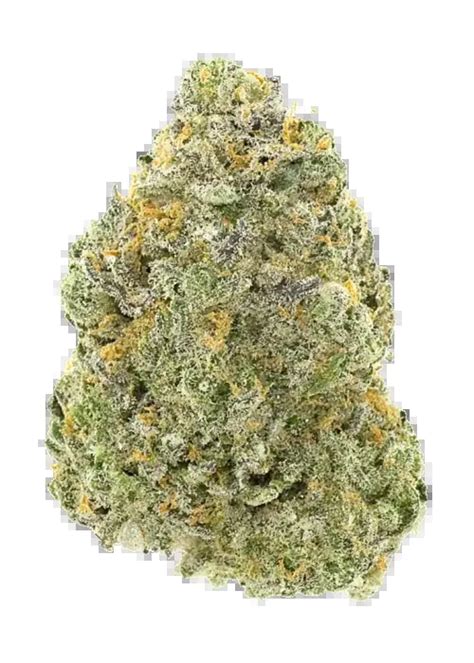 Chaos kush strain.  Find the perfect strain for your needs.  The Histor...