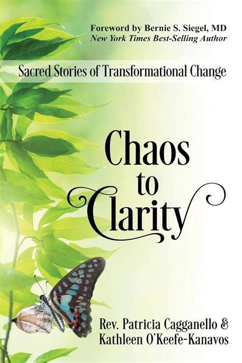Read Online Chaos To Clarity Sacred Stories Of Transformational Change By Rev Patricia Cagganello
