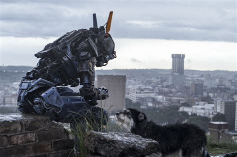 Chappie full movie. Chappie. Every child comes into the world full of promise, and none more so than Chappie: he is gifted, special, a prodigy. Movie. Similar movies. Similar TV Series. Cast. ... Popular movies: Chappie (2015), The Mummy (2017), The Last Days of American Crime (2020) Emilia Roux. Design. Popular movies: District 9 (2009), … 