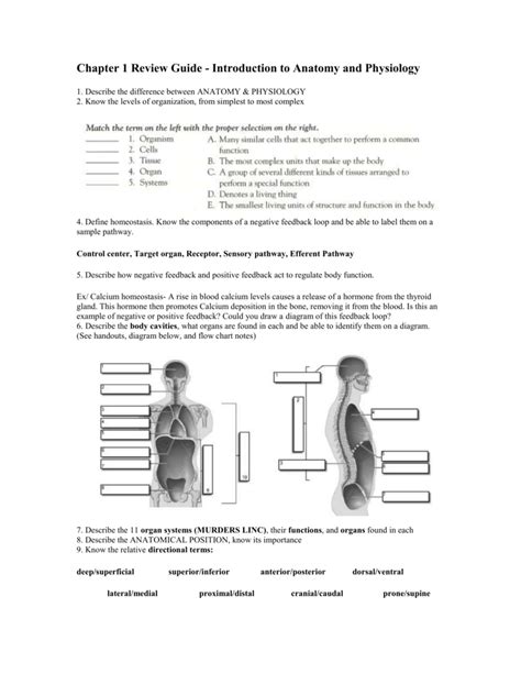 Chapter 1 An Introduction To Anatomy And Physiology Test