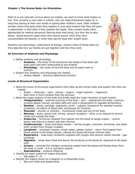 Chapter 1 Introduction to Human Anatomy and Physiology Worksheet