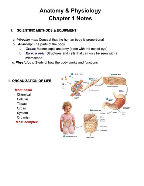 Chapter 1 Introduction to Human Anatomy and physiology