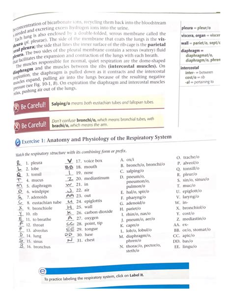 Chapter 10 medical terminology. .  <a href=http://filament.laretto.ru/a...