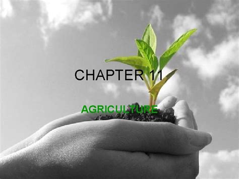 Chapter 11: Agriculture & Food Systems - erie.gov