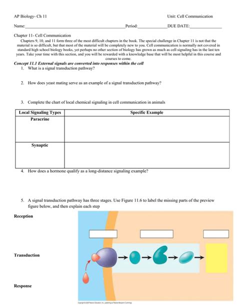 Chapter 11 Ap Biology Cell Communication Practice Test