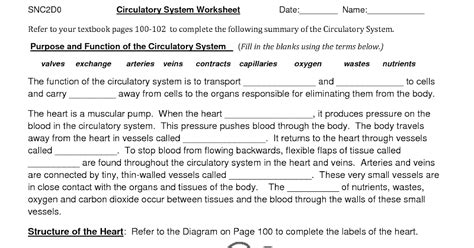Chapter 11 The Cardiovascular System Worksheet Answer Key pivotinspire