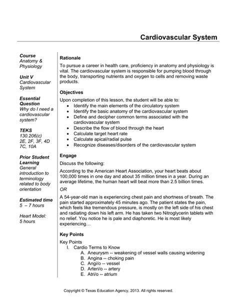 Chapter 11 The Cardiovascular System Worksheet Answer Key stakestory