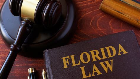 Chapter 119 Section 0711 - 2024 Florida Statutes