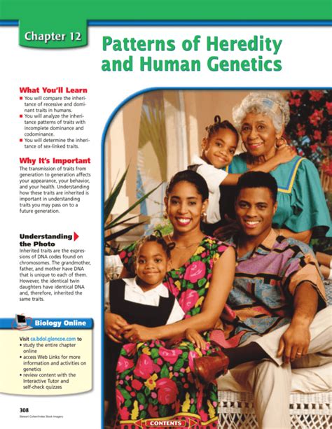Chapter 12 Patterns of Heredity and Human Glencoe