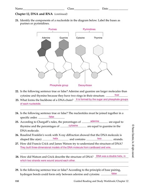 Chapter 12 dna rna study guide answers. - Principles of metal casting third edition.