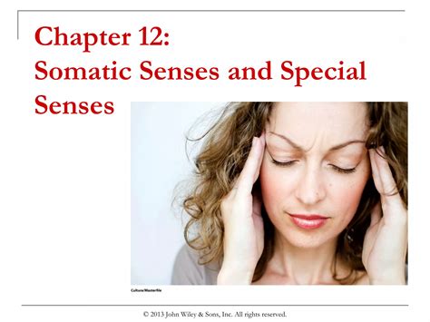 Chapter 12 somatic senses and special - SlideShare