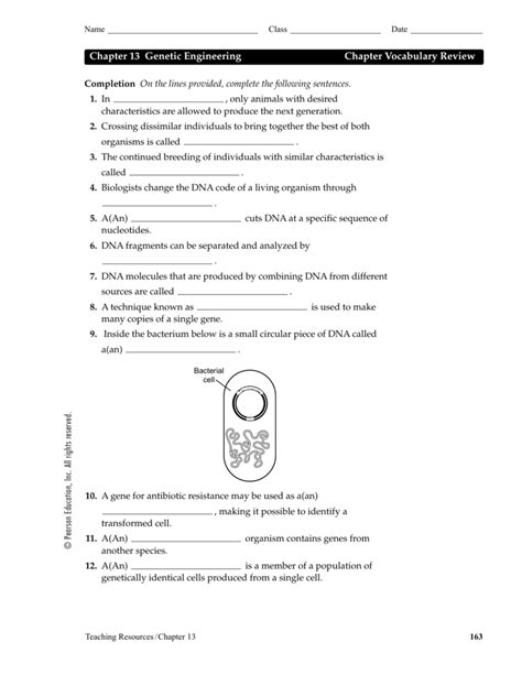 Chapter 13 Genetic Engineering Section Review