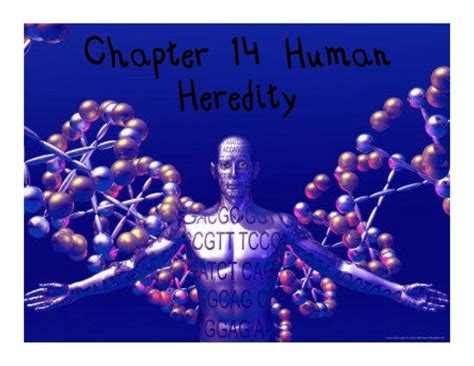 Chapter 14 Human