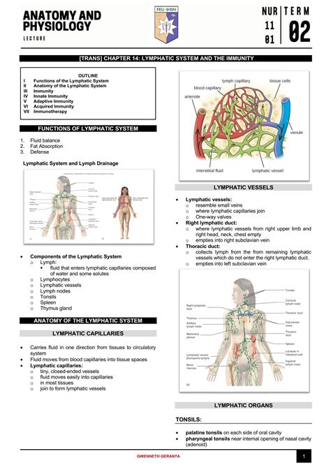 Chapter 14 Lymphatic System And Immunity Answers