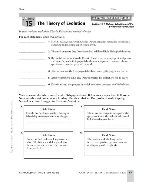 Chapter 15 The Theory Of Evolution Worksheet Answer Key Printable