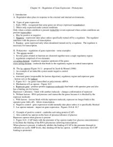 Chapter 16: Regulation of Gene Expression (HOMEWORK & QUIZ)