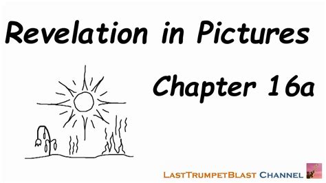 Chapter 16 A&P II Flashcards Quizlet