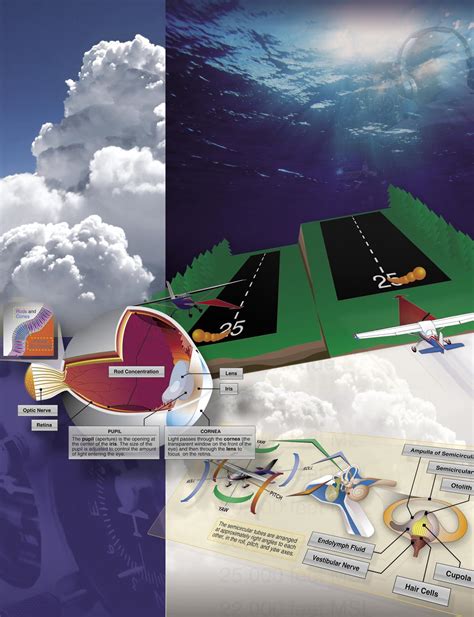 Chapter 16 Aeromedical Factors - FAASafety.gov