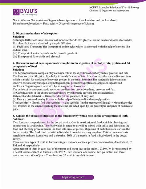 Chapter 16 ap bio study guide answers. - Motorage training self study guides for ase certifaction a2 automatic tranmissiontransaxle.