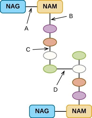 Chapter 17 ADV318J Flashcards Quizlet