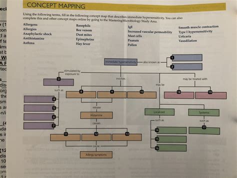 Chapter 18 Concept Map Diagram Quizlet