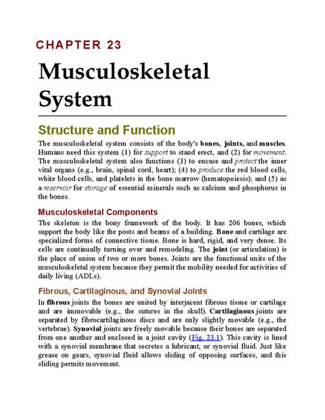 Chapter 23 Musculoskeletal System Chapter 23 Musculoskeletal System