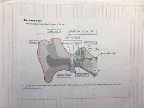 Chapter 26 Physics Sounds Flashcards Quizlet