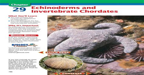 Chapter 29 echinoderms and invertebrate study guide. - Befreiung und umkehr für die zukunft.