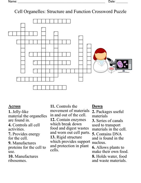 Chapter 3 Cell Structure Function Crossword Puzzle Answers
