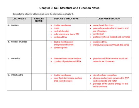 Chapter 3 Cell Structure and Function Notes