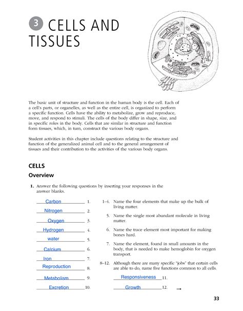 Chapter 3 Cells And Tissues Answer Key