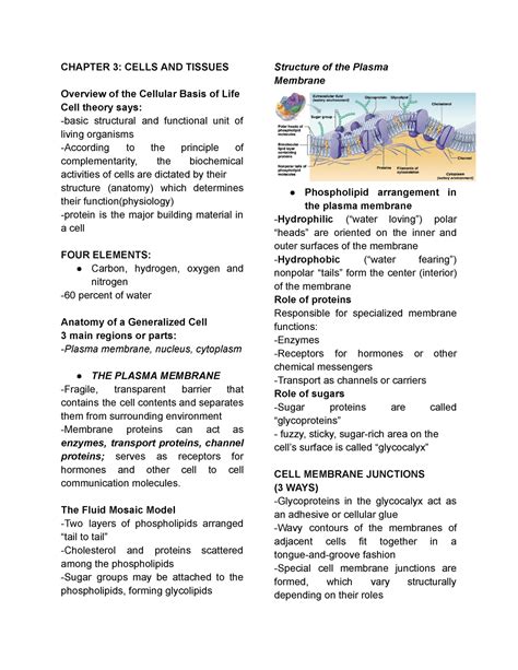 Chapter 3 Cells Answer Key