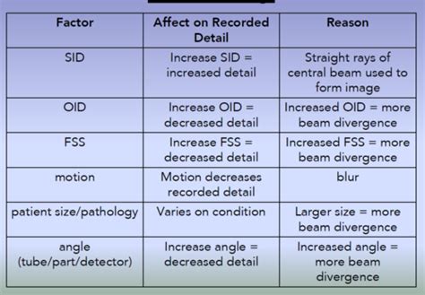 Chapter 30-Recorded Detail Flashcards