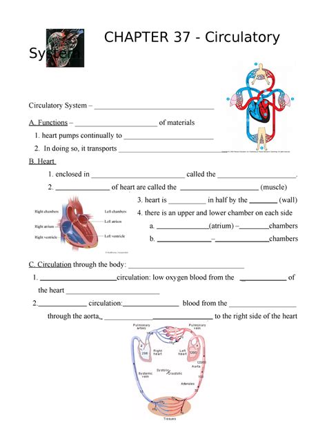 Chapter 37 circulatory system study guide. - Legends of world war 2 osprey aircraft of the aces special.