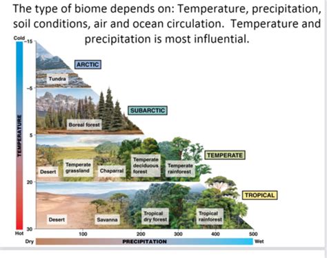 Chapter 4 Biomes Flashcards Quizlet