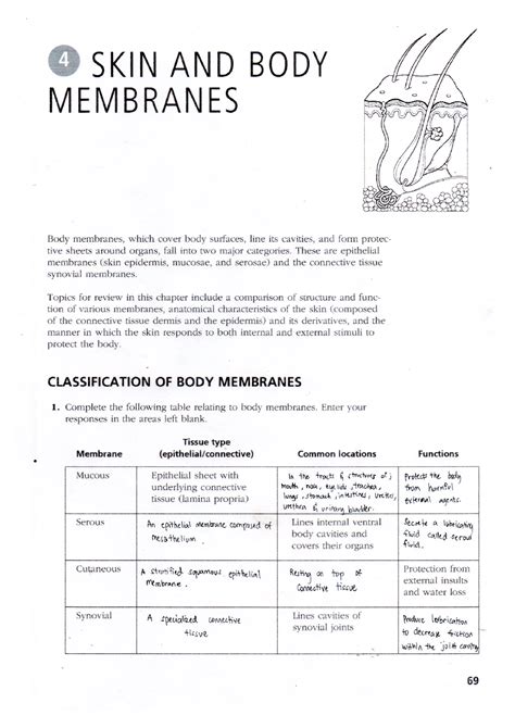 Chapter 4 study guide skin and body membranes answer. - 260 c ford manuali di manutenzione del trattore.