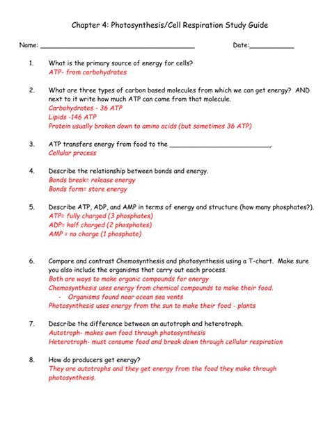 Chapter 4 test study guide photosynthesis answer key. - Auditing and assurance services solutions manual.