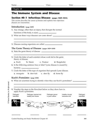 Chapter 40 the immune system and disease guided reading answers. - Study guide the cay chapters 5 8.