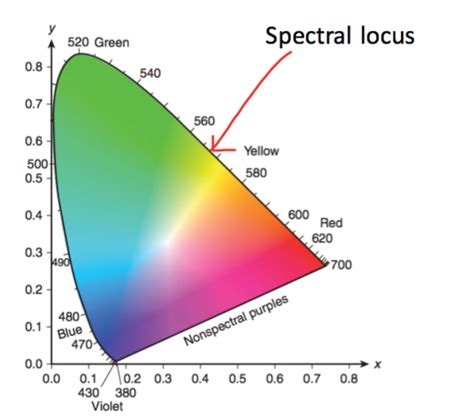 Chapter 5: Color Vision Flashcards Quizlet