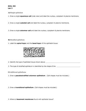 Chapter 5 Notes.docx - Chapter 5 Notes Tissue – Groups …