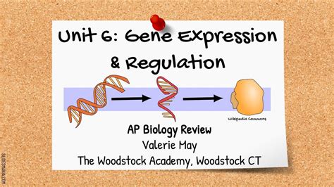 Chapter 6 Gene Expression